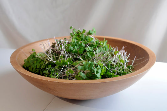 Kale/Purple Mustard Mix Microgreens 3 oz.