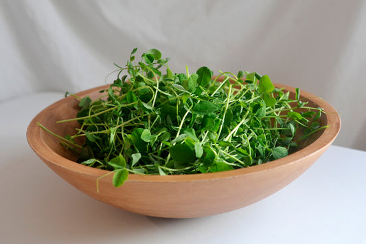 Pea               Microgreens 3oz.